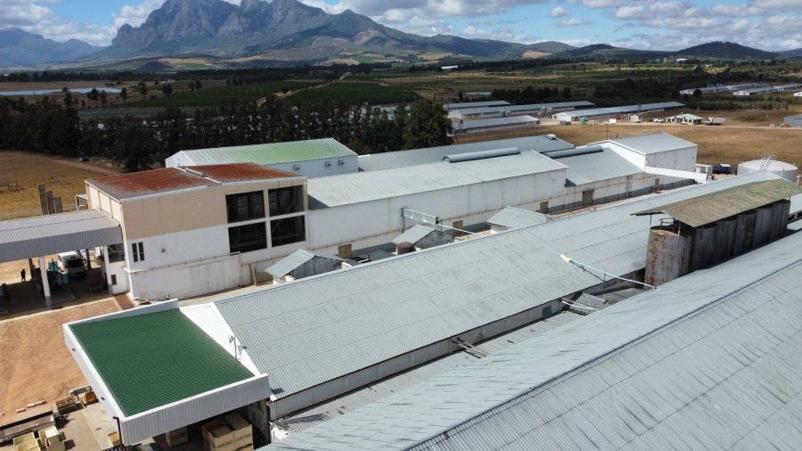 To Let commercial Property for Rent in Paarl South Western Cape